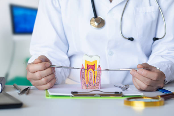 Best Same-Day Emergency Dental Services in Lake Shastina, CA